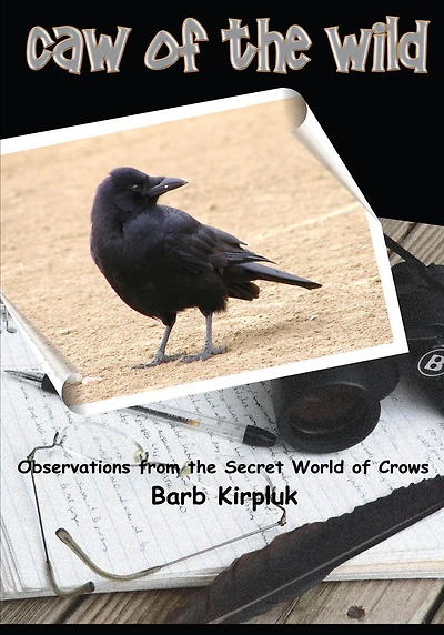 Caw of the Wild: Observations from the Secret World of Crows