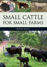Small Cattle for Small Farms