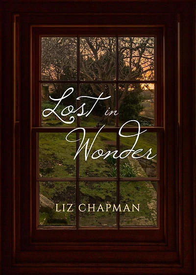 Lost Wonder