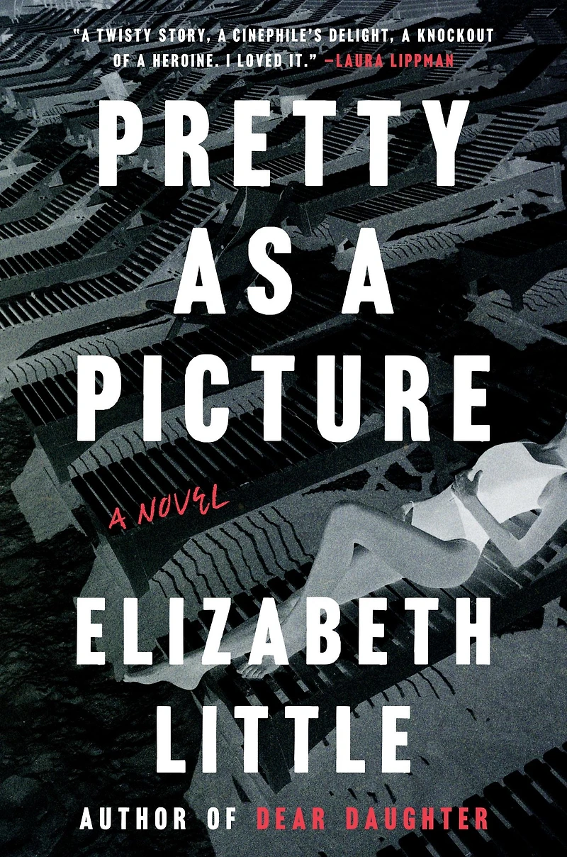 Pretty as A Picture: Novel