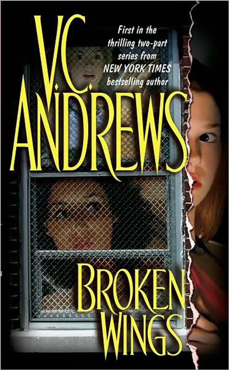 Broken Wings (Broken Series #1)
