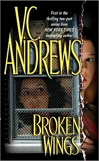 Broken Wings (Broken Series #1)