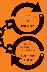 Prisoners of Politics: Breaking the Cycle Mass Incarceration