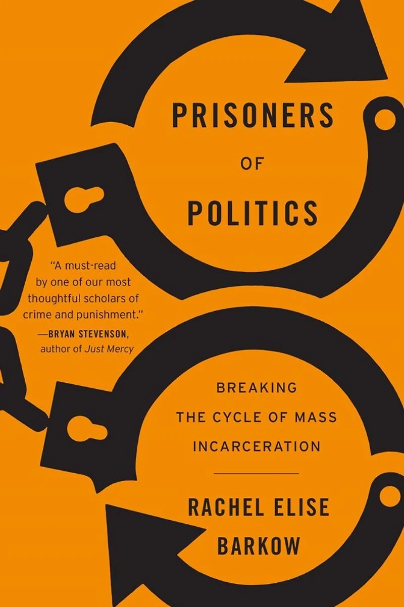 Prisoners of Politics: Breaking the Cycle Mass Incarceration