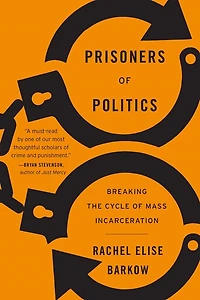 Prisoners of Politics: Breaking the Cycle Mass Incarceration