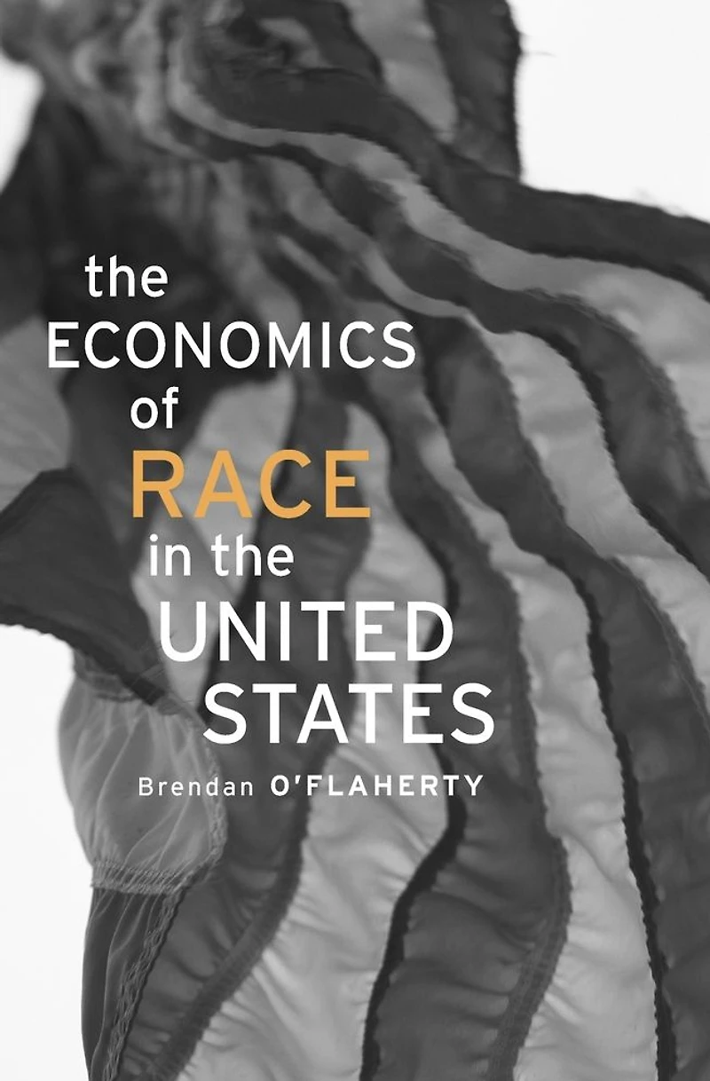 the Economics of Race United States