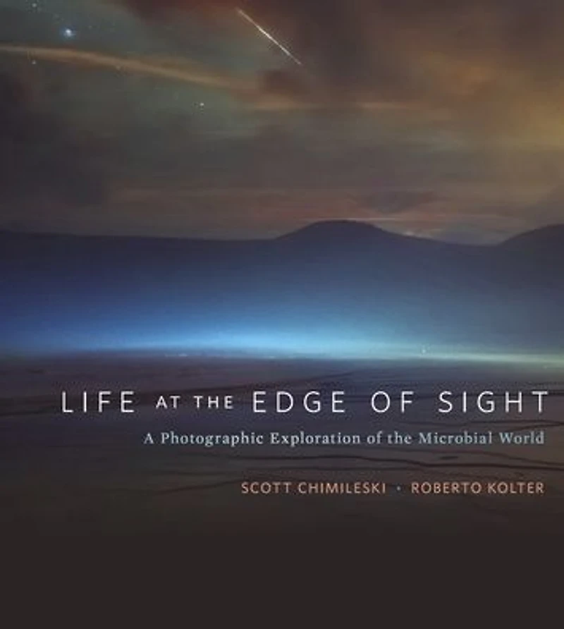Life at the Edge of Sight: A Photographic Exploration Microbial World