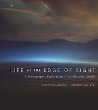 Life at the Edge of Sight: A Photographic Exploration Microbial World