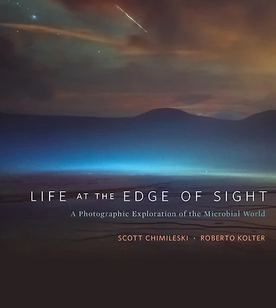 Life at the Edge of Sight: A Photographic Exploration Microbial World