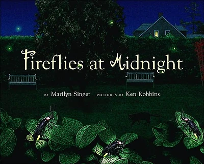 Fireflies at Midnight
