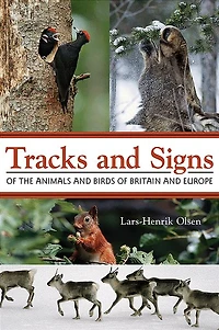Tracks and Signs of the Animals Birds Britain Europe