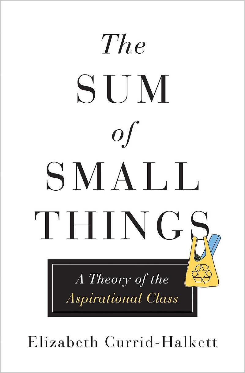 the Sum of Small Things: A Theory Aspirational Class