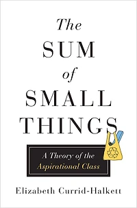 the Sum of Small Things: A Theory Aspirational Class