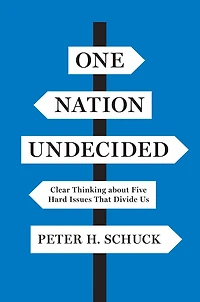 One Nation Undecided: Clear Thinking about Five Hard Issues That Divide Us