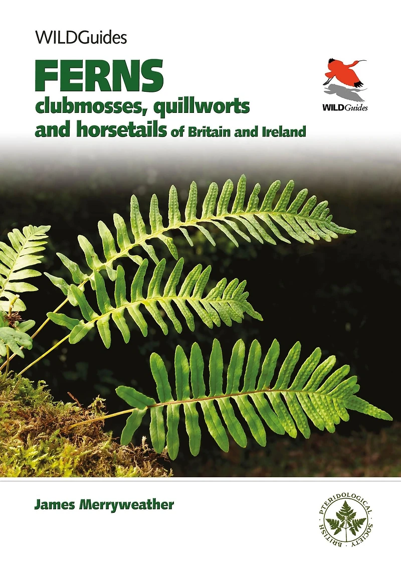 Ferns: Clubmosses, Quillworts and Horsetails of Britain Ireland