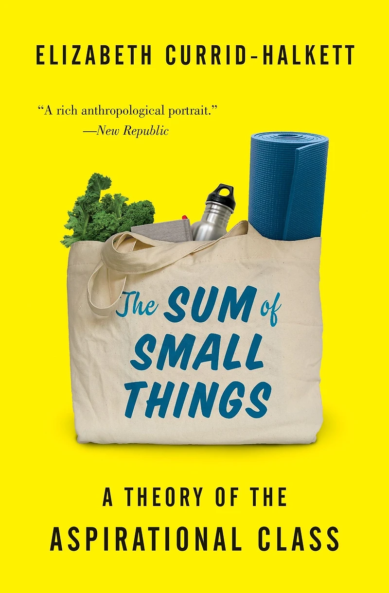 the Sum of Small Things: A Theory Aspirational Class