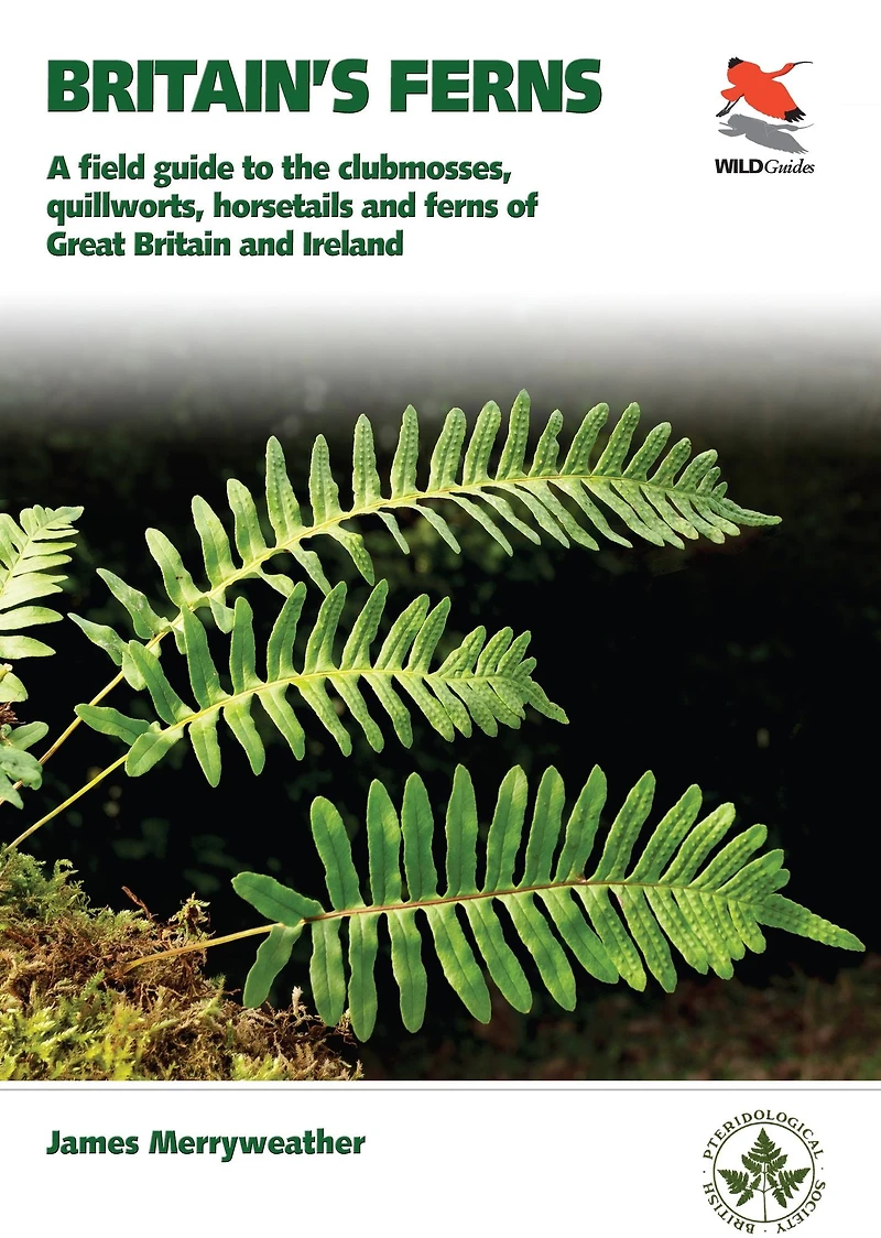 Ferns: Clubmosses, Quillworts and Horsetails of Britain Ireland