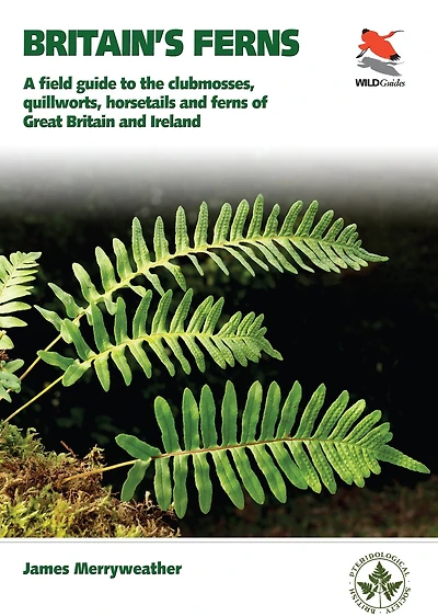 Ferns: Clubmosses, Quillworts and Horsetails of Britain Ireland