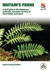 Ferns: Clubmosses, Quillworts and Horsetails of Britain Ireland
