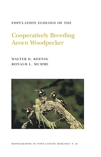 Population Ecology of the Cooperatively Breeding Acorn Woodpecker