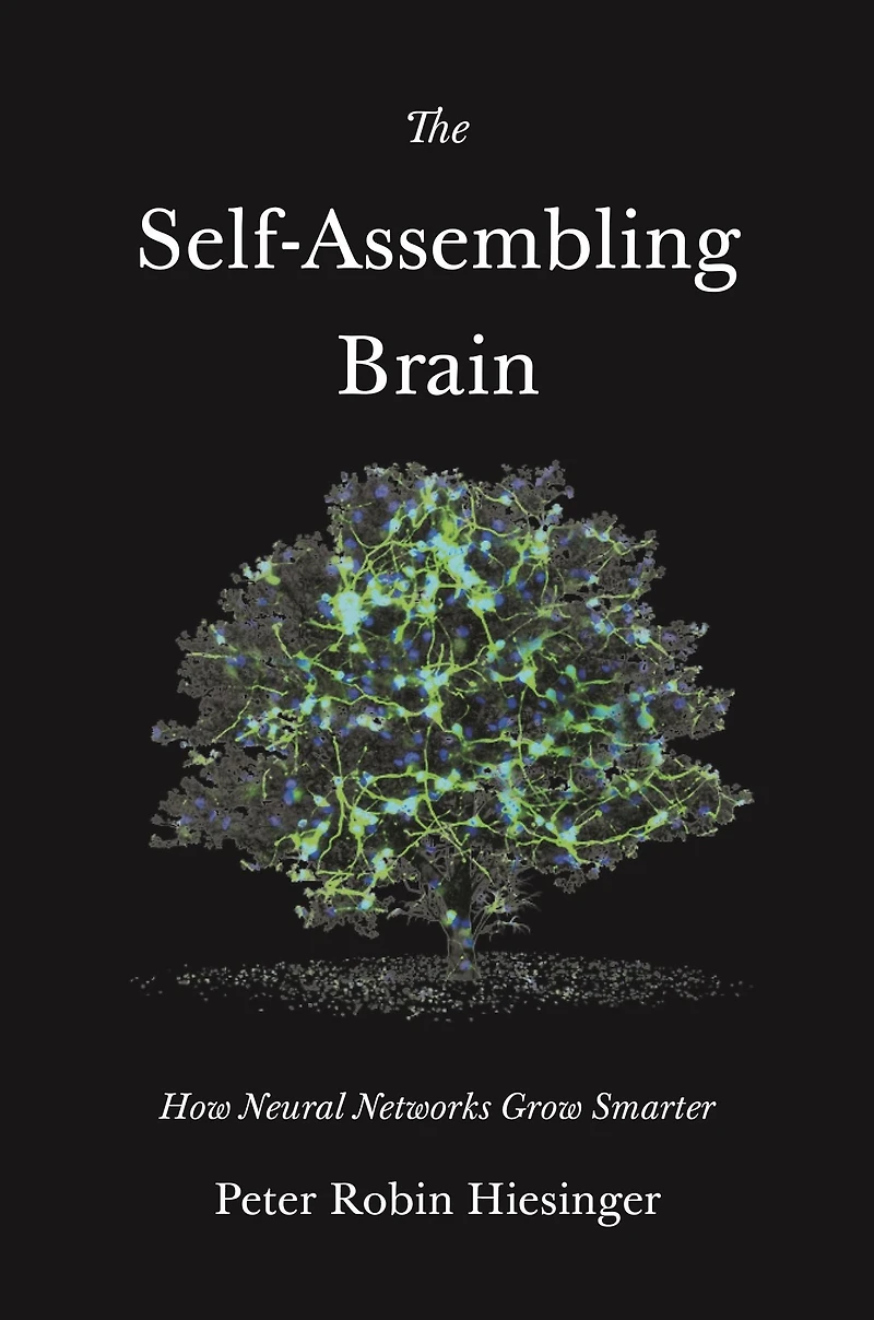 The Self-Assembling Brain: How Neural Networks Grow Smarter