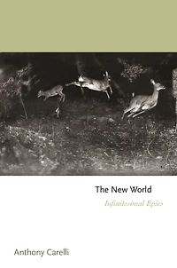 The New World: Infinitesimal Epics