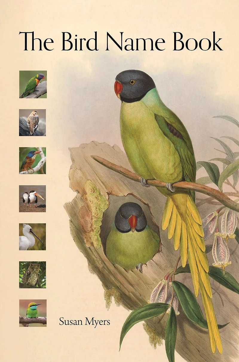 The Bird Name Book: A History of English Names