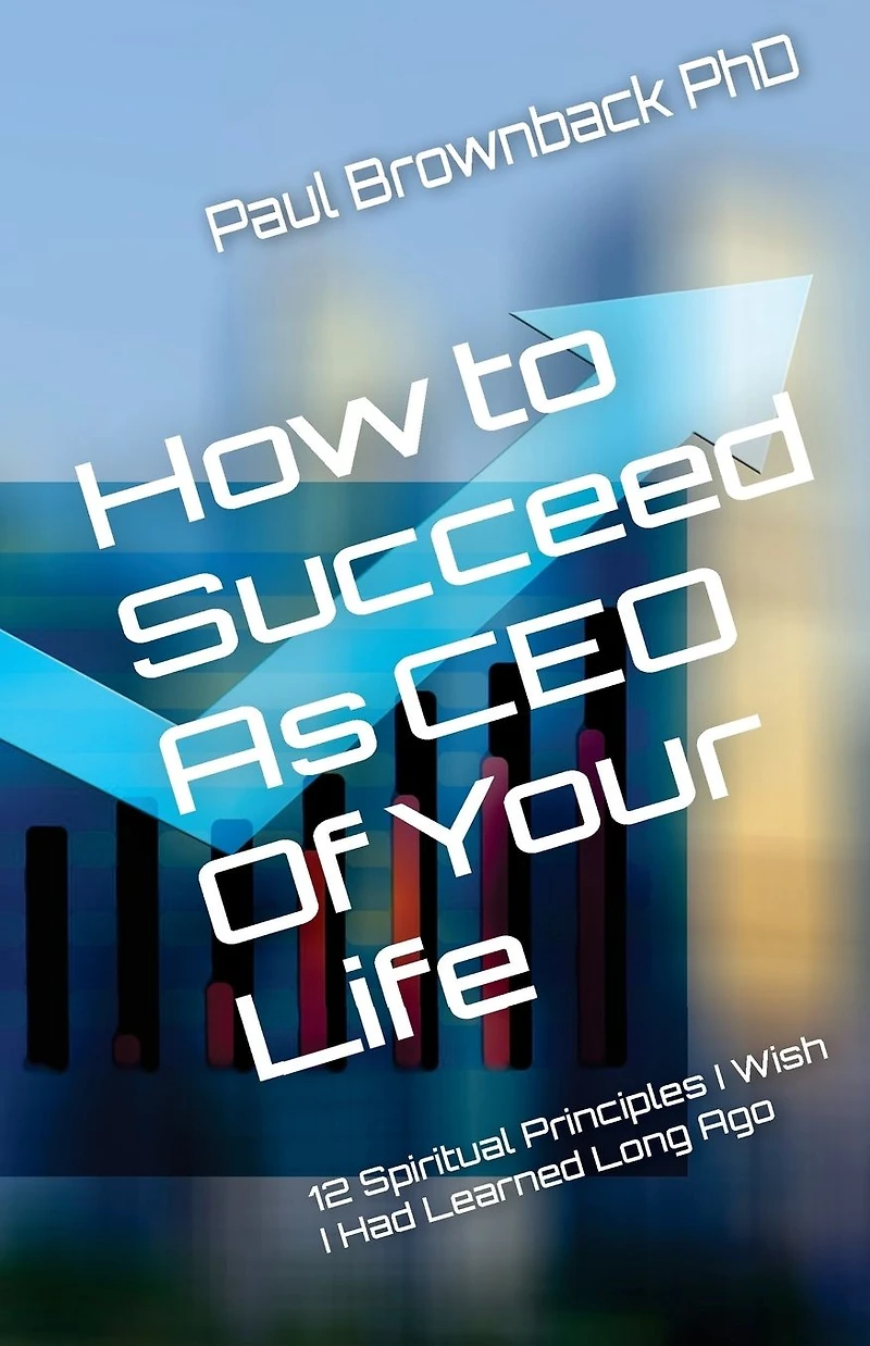 How to Succeed as CEO of Your Life: 12 Spiritual Principles I Wish Had Learned Long Ago