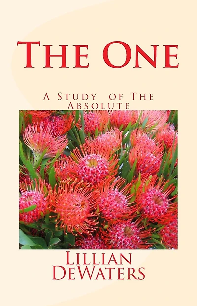 The ONE: A Study of the Absolute
