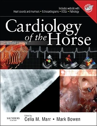 Cardiology of the Horse
