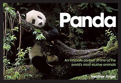 Panda: An Intimate Portrait Of One Of The World's Most Elusive Characters