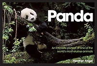 Panda: An Intimate Portrait Of One Of The World's Most Elusive Characters