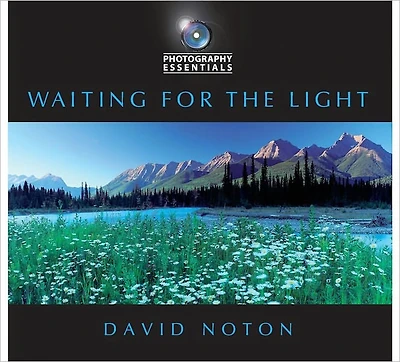 Photography Essentials: Waiting for the Light: Waiting for the Light