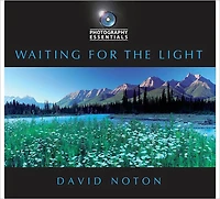 Photography Essentials: Waiting for the Light: Waiting for the Light