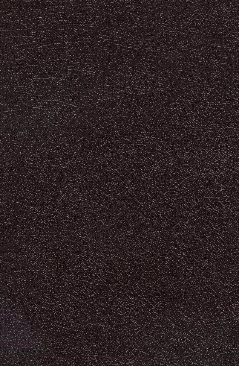 The Charles F. Stanley Life Principles Bible