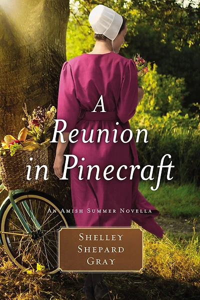 Summer Storms: An Amish Novella
