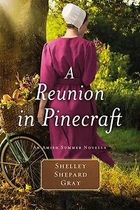 Summer Storms: An Amish Novella