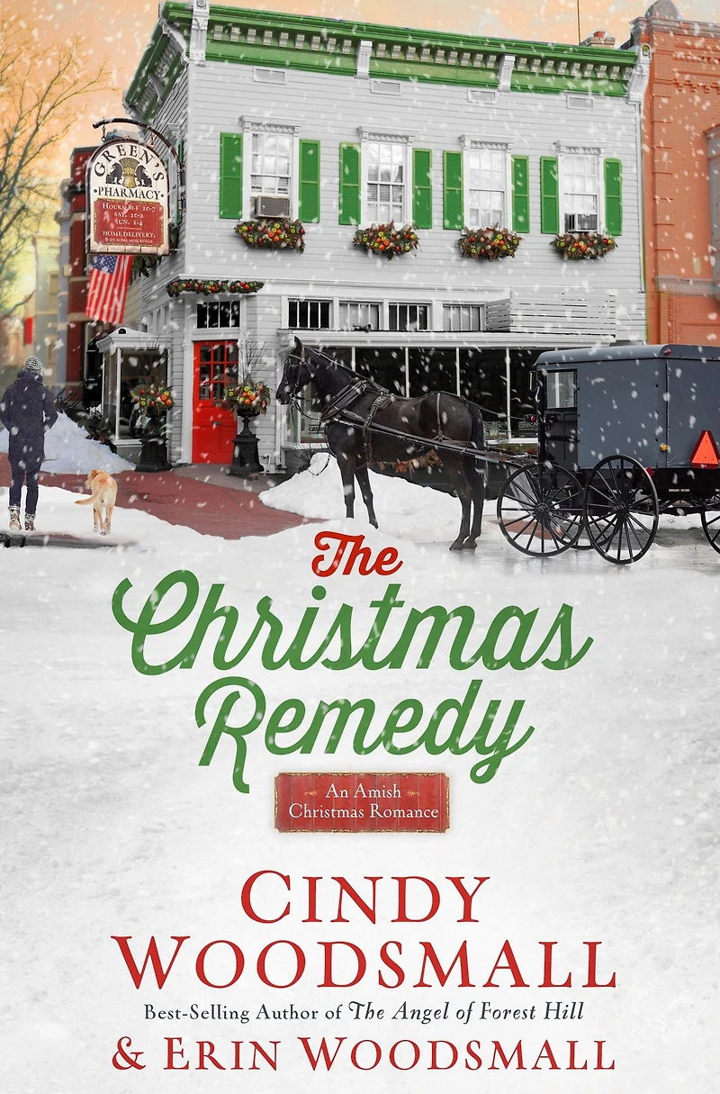 The Christmas Remedy: An Amish Romance