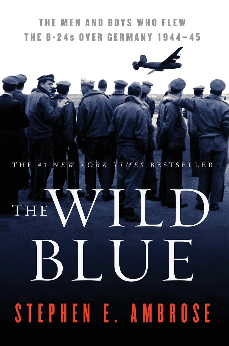 the Wild Blue: Men and Boys Who Flew B-24s Over Germany