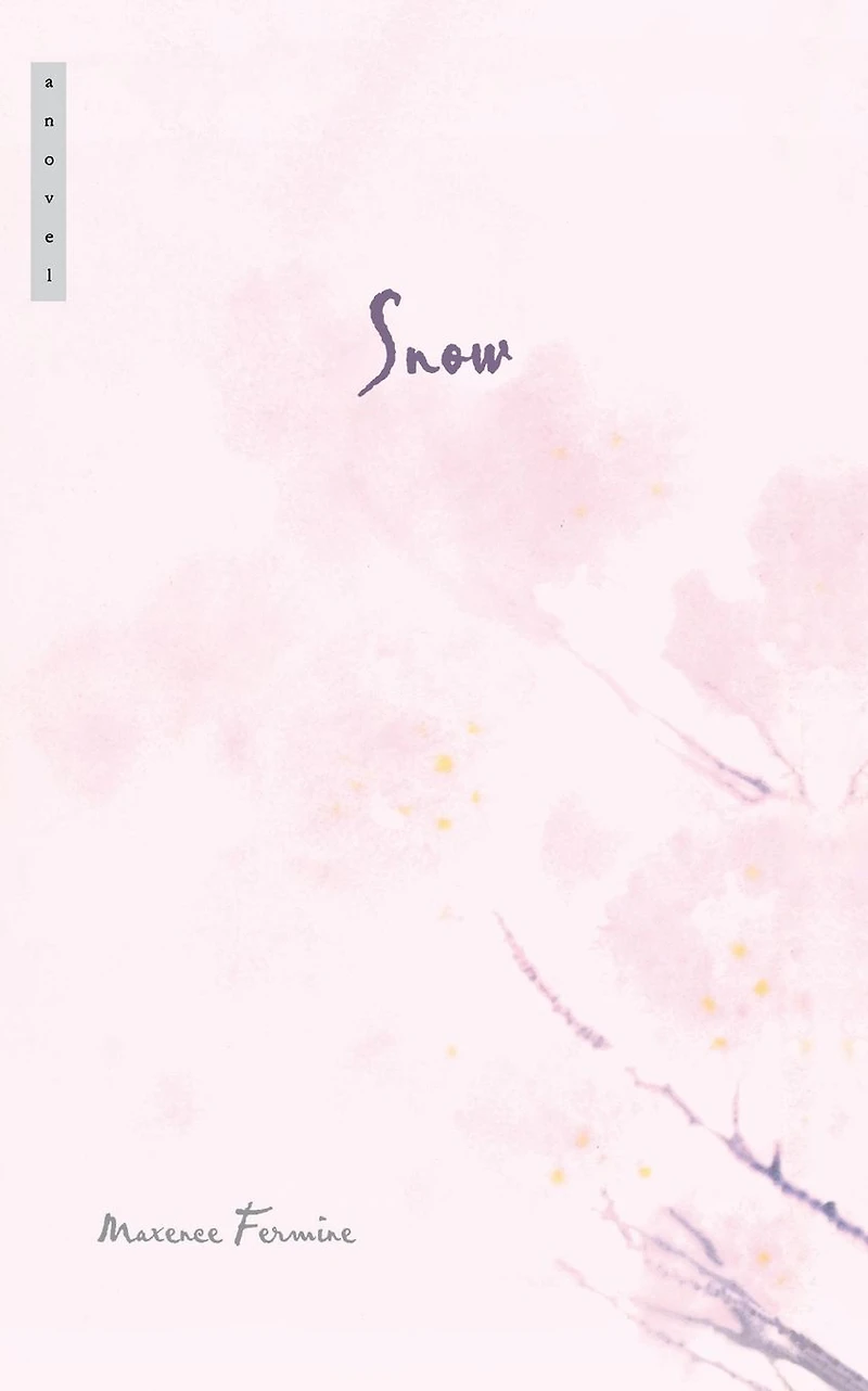 Snow: A Novel