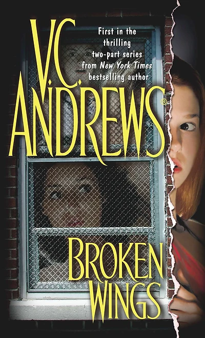 Broken Wings (Broken Series #1)