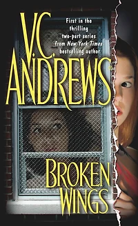 Broken Wings (Broken Series #1)