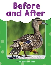Before and After