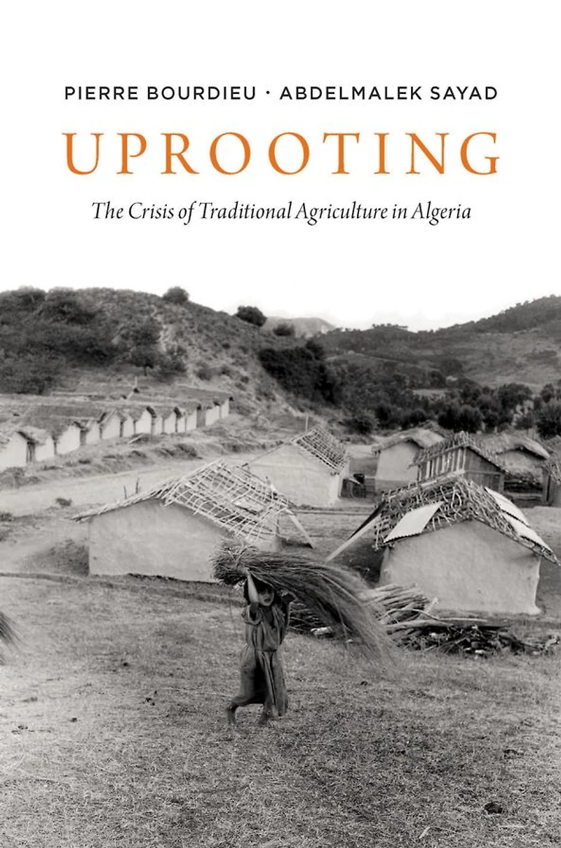 Uprooting: The Crisis of Traditional Algriculture Algeria