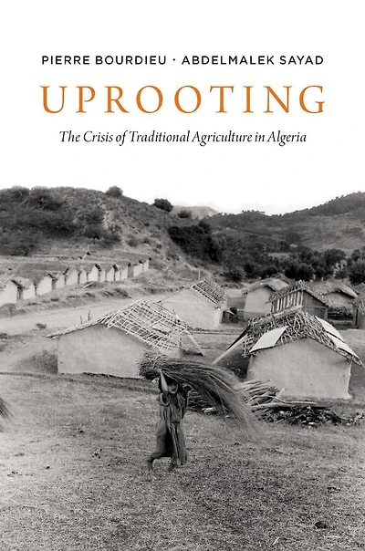 Uprooting: The Crisis of Traditional Algriculture Algeria
