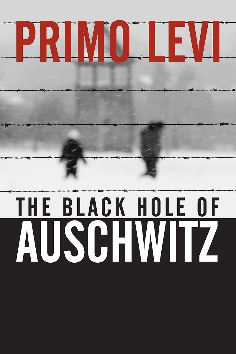 The Black Hole of Auschwitz