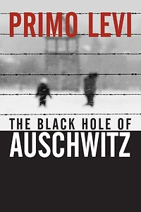 The Black Hole of Auschwitz