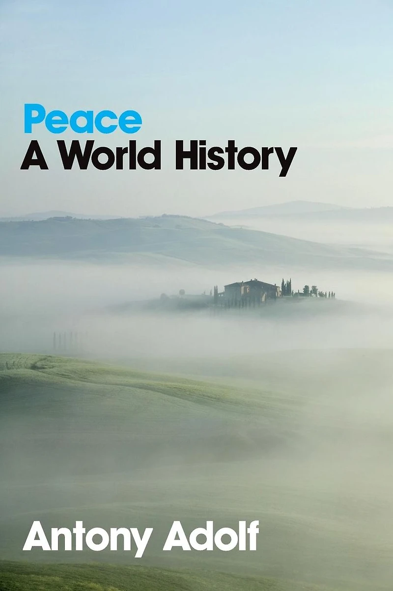 Peace: A World History