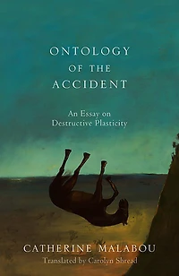 Ontology of the Accident: An Essay on Destructive Plasticity