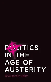 Politics the Age of Austerity